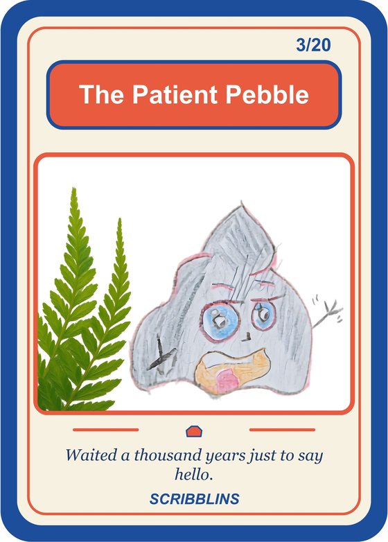 The Patient Pebble, a Scribblin drawn by our son